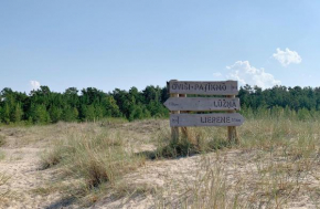 Kadiķi in Ventspils